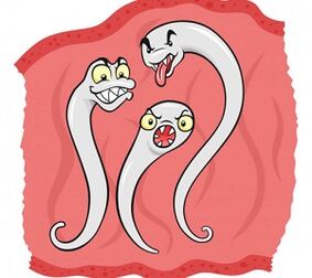 insan vücudunda hangi parazitler yaşayabilir